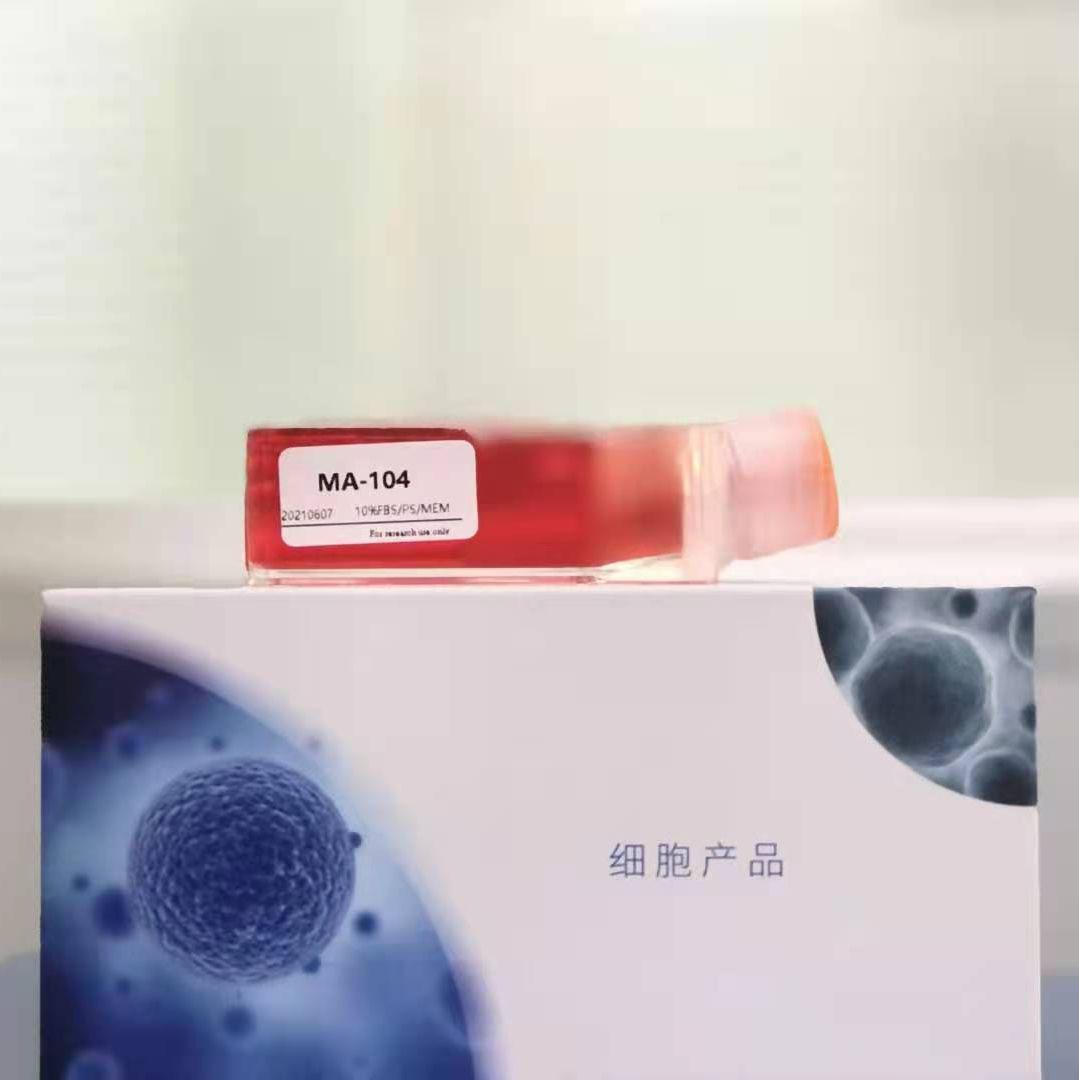 骨髓、脂肪、脐带、胎盘羊膜、牙髓等间质干细胞