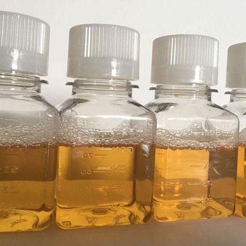 枸橼酸纳抗凝羊血