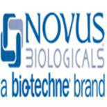 Recombinant Rat MIF Protein