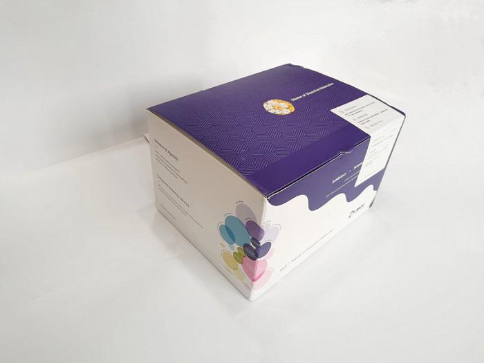 Phenytoin是非活化的电压门控钠离子通道稳定剂。