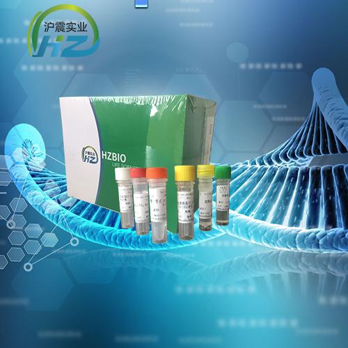 肠道致细胞病变人孤儿病毒RT-LAMP试剂盒