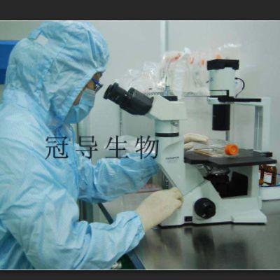 Amies运送培养基[含活性碳]价格实惠