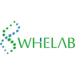 CTX[CTX]大鼠脑星形胶质细胞