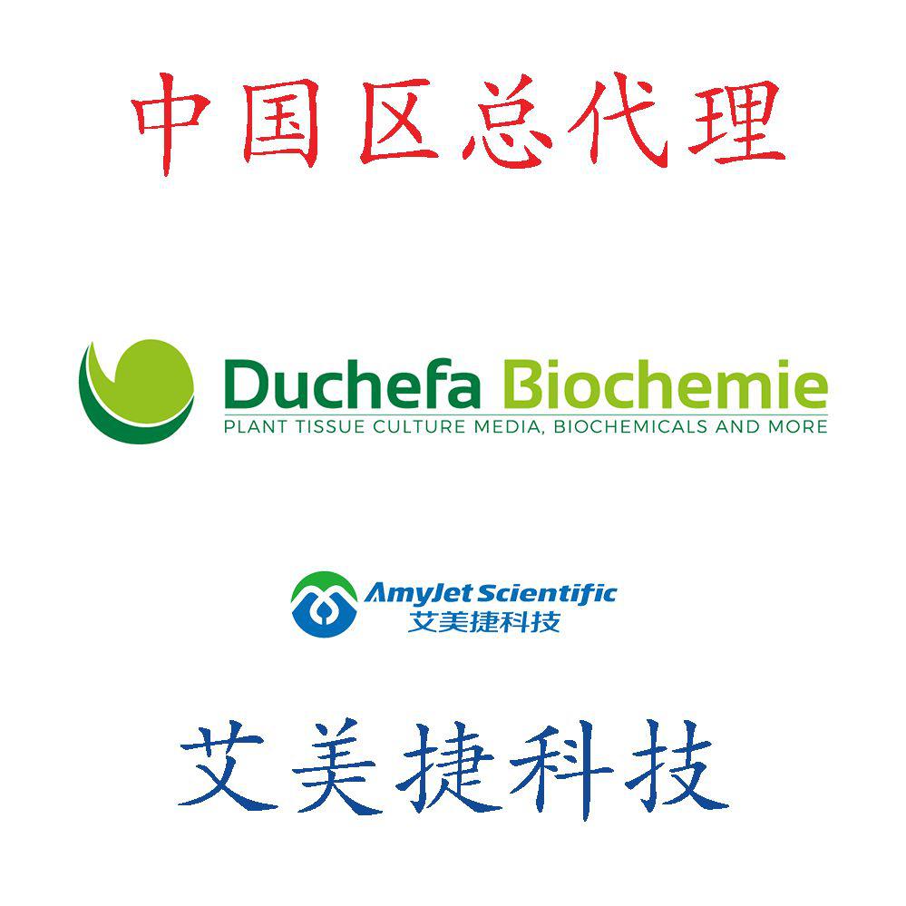 White培养基/White培养基/White培养基