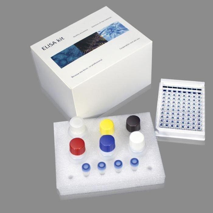 小鼠白细胞介素3 ELISA检测IL-3试剂盒