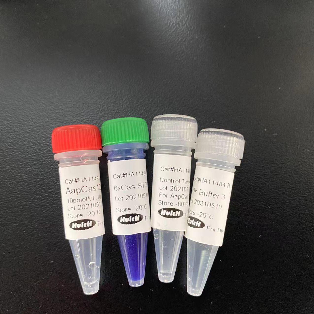 GMP级抗人CD3单克隆抗体(鼠源)