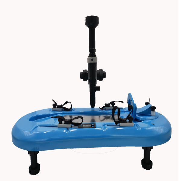 兔肠系膜微循环观察系统/肠系膜微循环观察系统