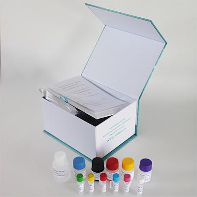 人抗促甲状腺素受体抗体（TRAb）ELISA试剂盒