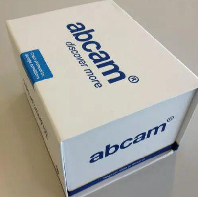 Recombinant Human Fos B protein