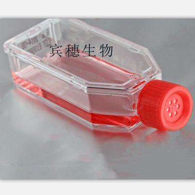 LoVo人结肠癌细胞系全年优惠