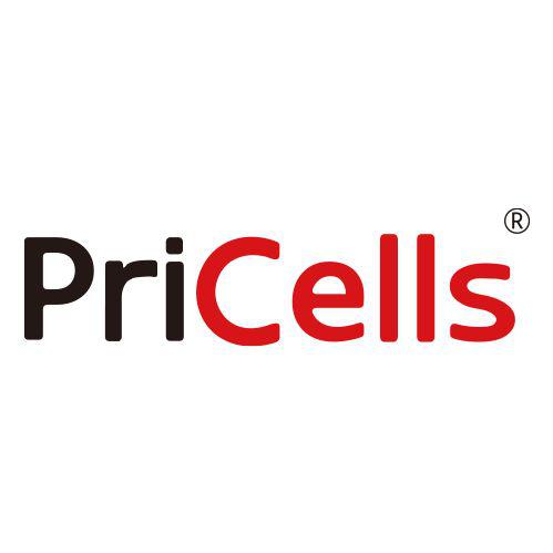PriCells-人子宫成纤维细胞