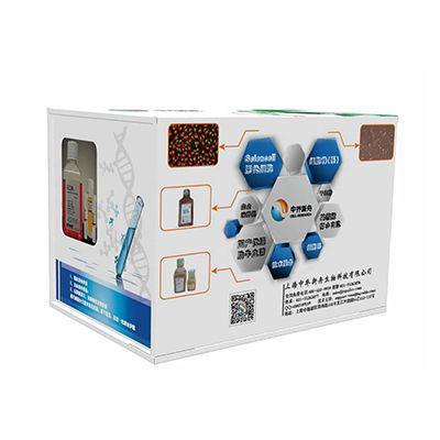 min6小鼠胰岛瘤细胞