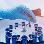 pcr未纯化的样品测序