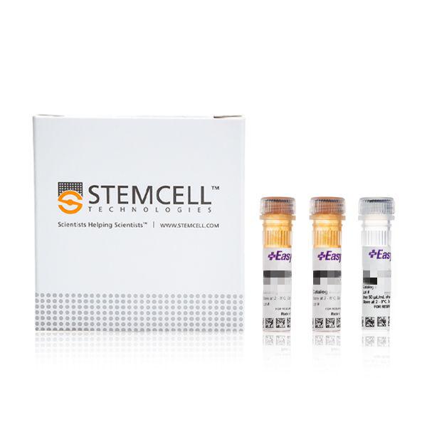 EasySep™人中央/效应记忆CD4 T细胞分选试剂盒