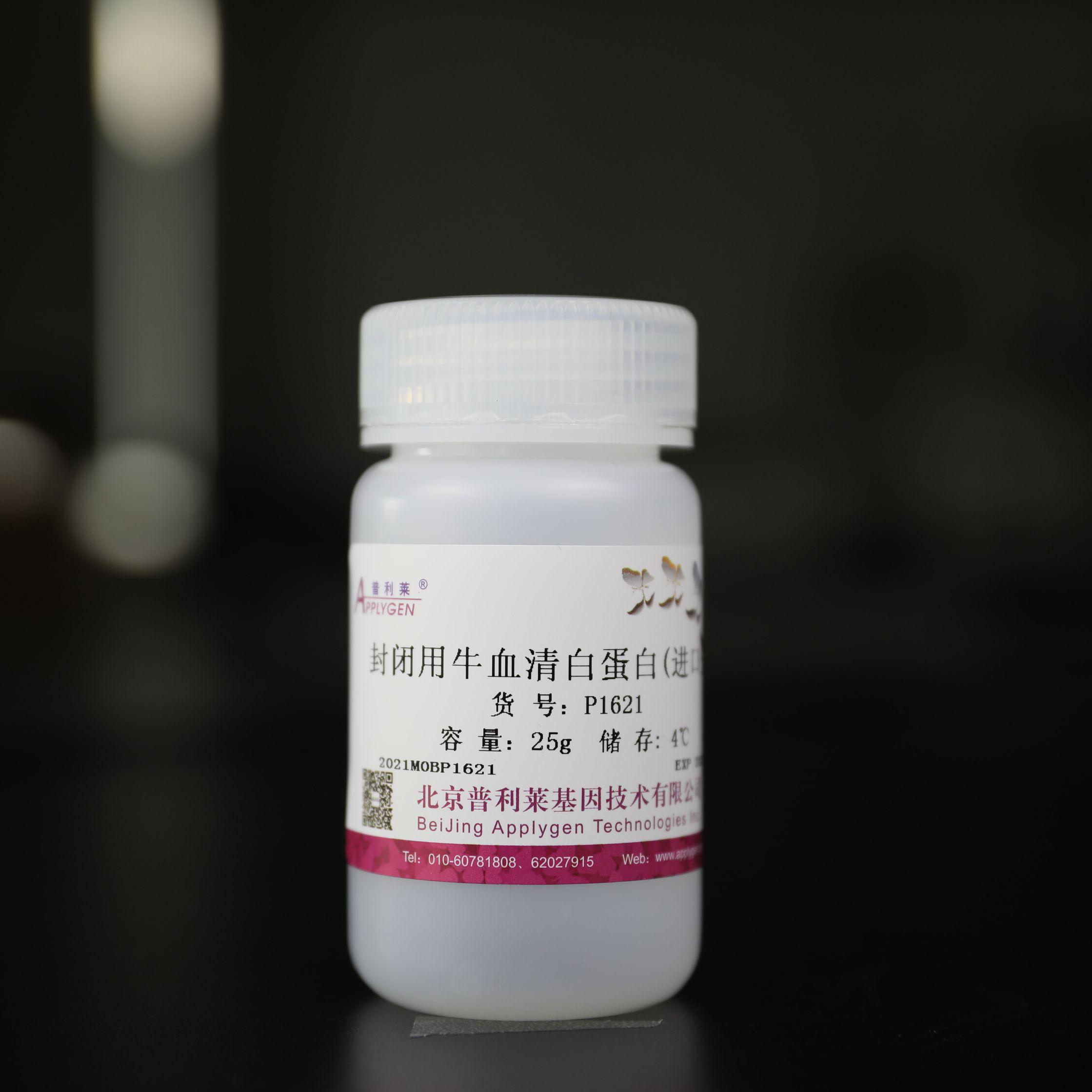 封闭用牛血清白蛋白（进口分装）  P1621