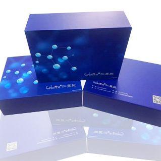 土壤β葡萄糖苷酶(S-β-GC)/纤维二糖酶测试盒_微量法