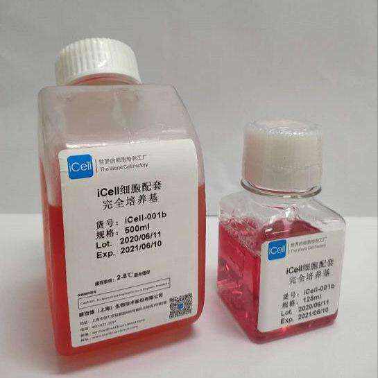 C127 小鼠乳腺肿瘤细胞