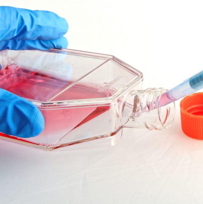 细胞成脂、成骨、成神经诱导实验服务