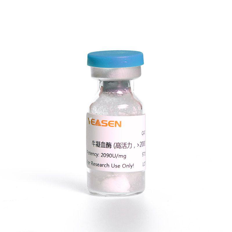Bovine Thrombin 牛凝血酶（高活力，>2000 IU/mg）