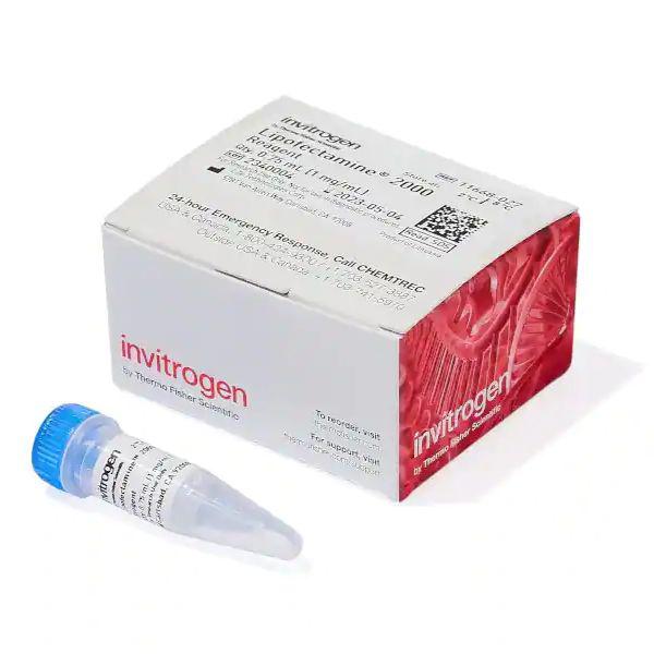 特价：脂质体2000转染试剂