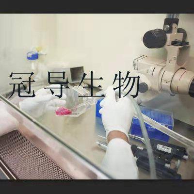 Factor Dependent Cell-Paterson 1 Cells;小鼠正常骨髓活化克隆细胞|STR鉴定图谱