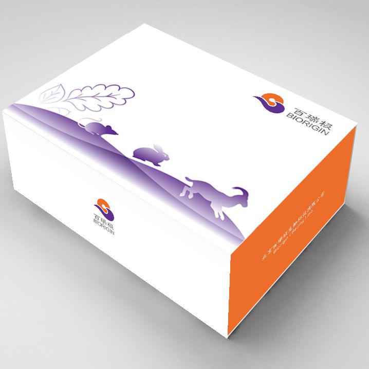 Mouse IL-15 (白细胞介素15)Elisa Kit