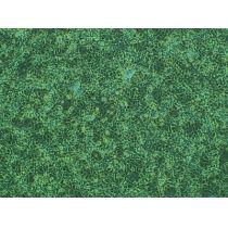 ATCC HTB-107(SW579)人甲状腺鳞癌细胞