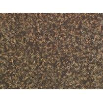 ​兔原代脑皮层神经元细胞