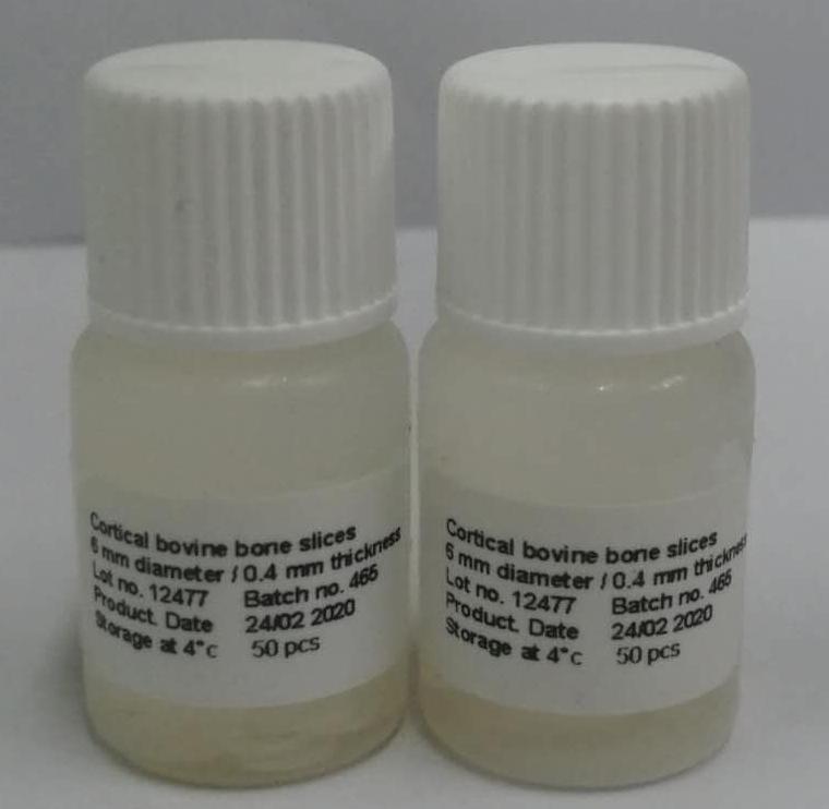 骨切片 Boneslice  牛皮质骨片  骨吸收 大量现货