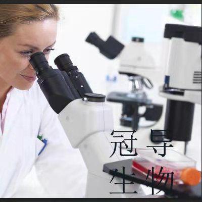 大鼠脑成纤维扩增细胞|STR鉴定图谱