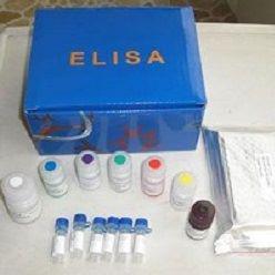 小鼠骨成型蛋白受体Ⅱ(BMPR-Ⅱ)ELISA试剂盒