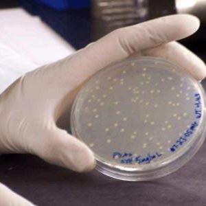 DB3.1 电转、DB3.1 电击、DB3.1 超转