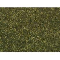 大鼠海马神经元