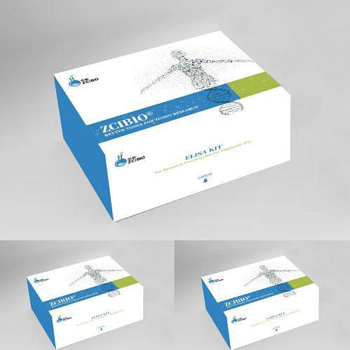 猪白细胞介素17(IL-17)ELISA试剂盒