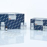 DNA 高分辨率分析试剂盒