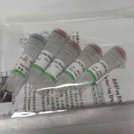 pGL4.29-CRE-Luc2P-Luc-SV40-Hygro-CMV-EGFP质粒