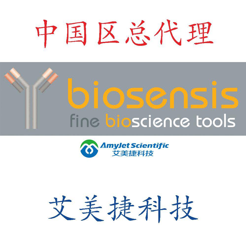 绿色荧光蛋白标签 (GFP)，鸡多克隆抗体 - 100 µg/Green Fluorescent Protein Tag (GFP), Chicken Polyclonal Antibody-100 µg