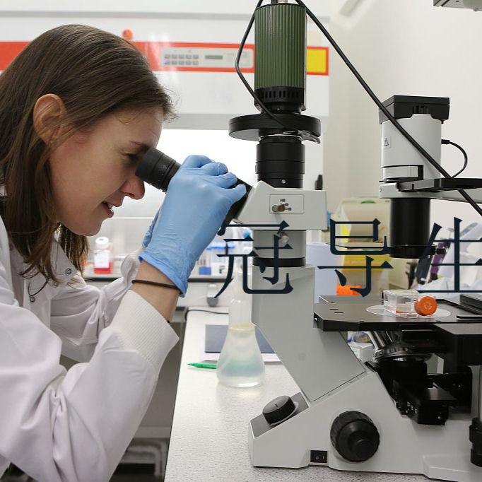 BHK传代好：仓鼠肾成纤维细胞|完全培养基