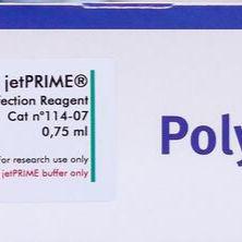 难转染细胞转染试剂jetOPTIMUS