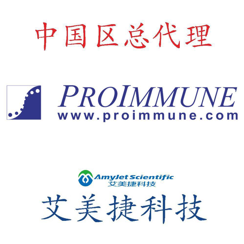 端粒酶逆转录酶肽库/端粒酶逆转录酶肽库/端粒酶逆转录酶肽库