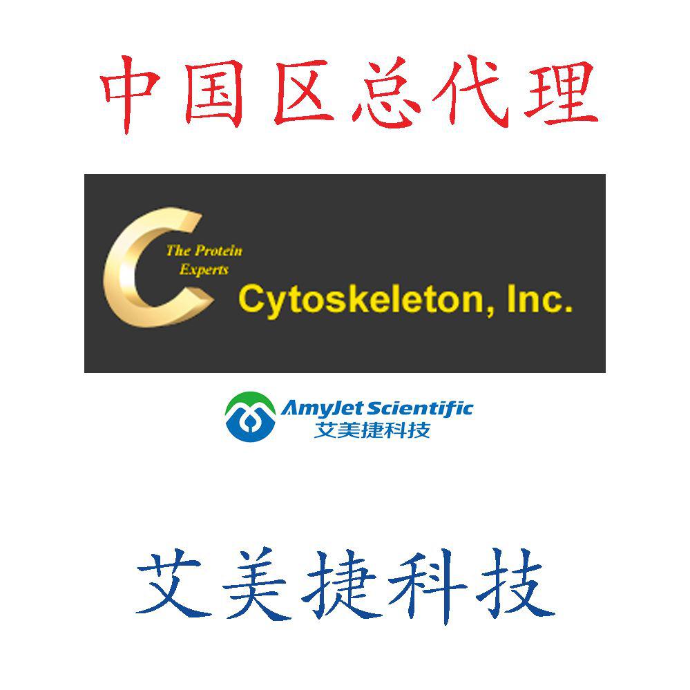 RAPGEF5蛋白。Ras关联和交换域（57-580）野生型。(人类重组体，GST标记)|RAPGEF5 Protein: Ras association and exchange domain (57– 580) wild type. (Human recombinant, GST tagged)