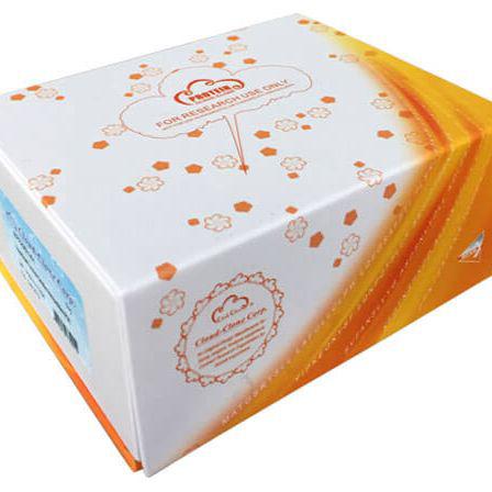 蛋氨酸腺苷转移酶Ⅱα(MAT2a)重组蛋白