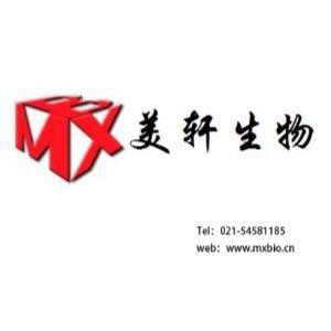 MSC小鼠间充质干细胞