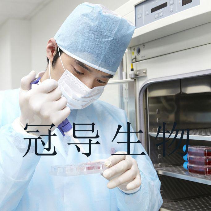 Hep G2/C3A：人肝癌代次低细胞|完全培养基