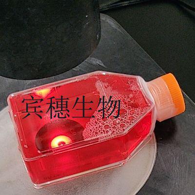 TGYA基础培养基 价格好