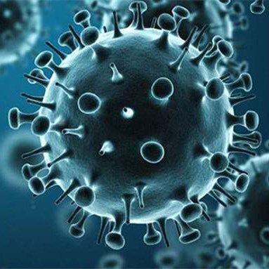 慢病毒/自主生产/滴度更高/转染效率更好/擎科生物