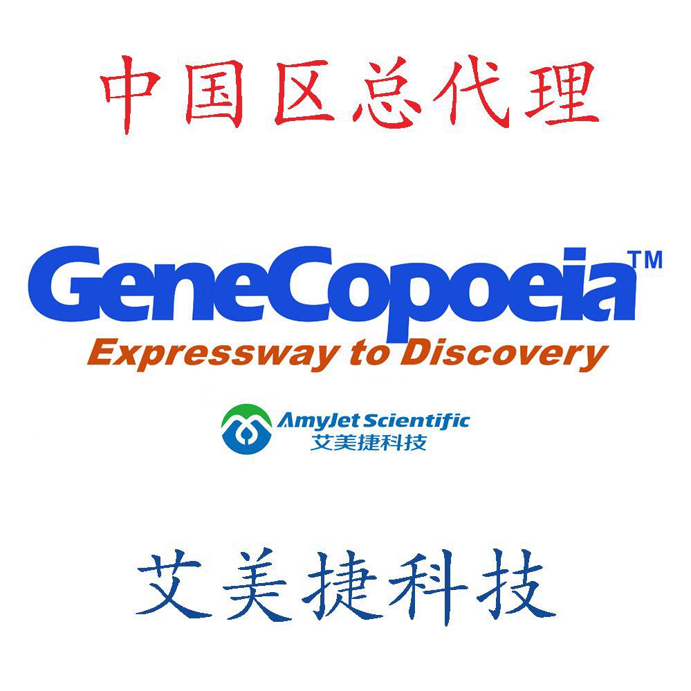 细胞永生化试剂/细胞永生化试剂/细胞永生化试剂