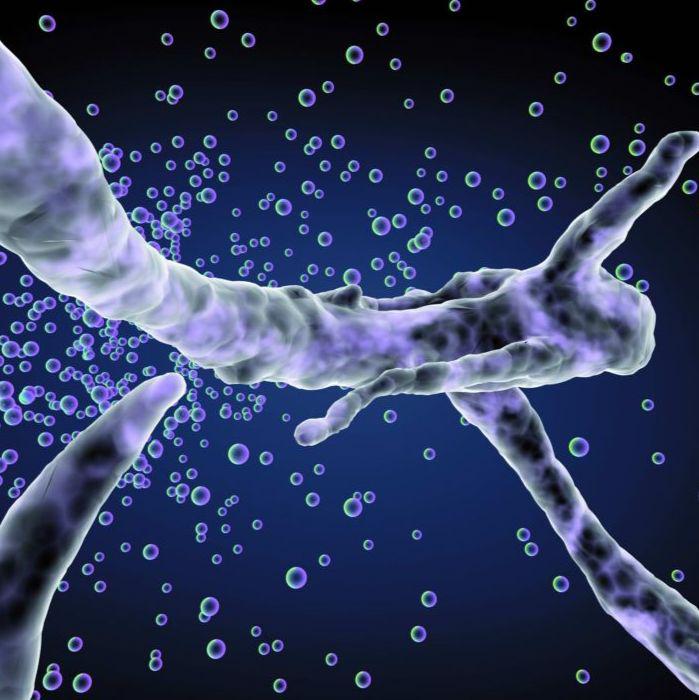 流式细胞仪检测