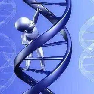 m6A RNA甲基化检测