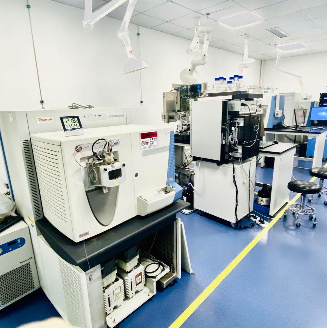 神经递质代谢分析